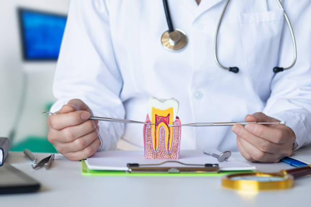 Best Cracked Tooth Emergency Dentist  in Shelburn, IN